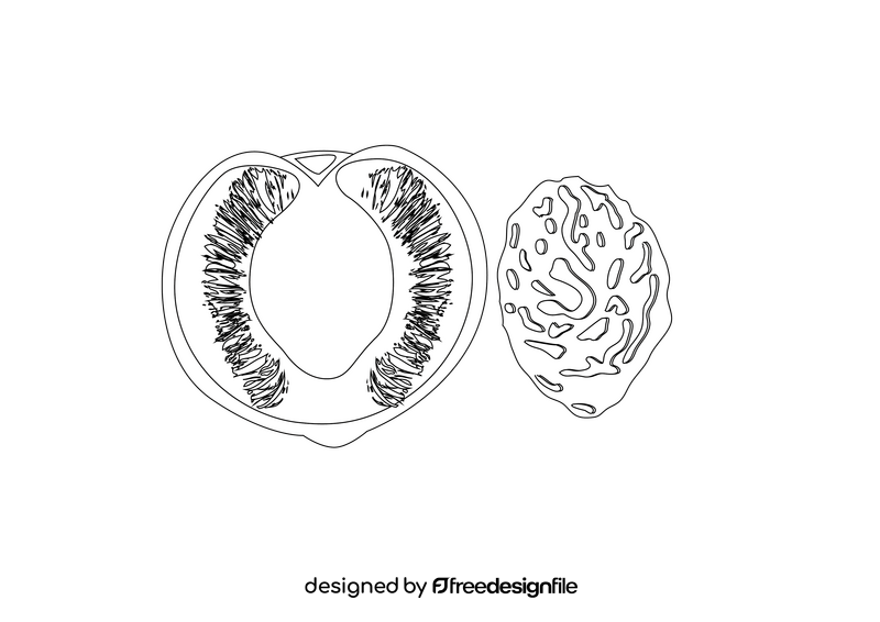 Half of Peach and its Endocarp black and white clipart