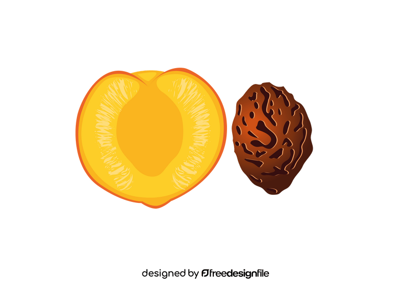 Half of Peach and its Endocarp clipart