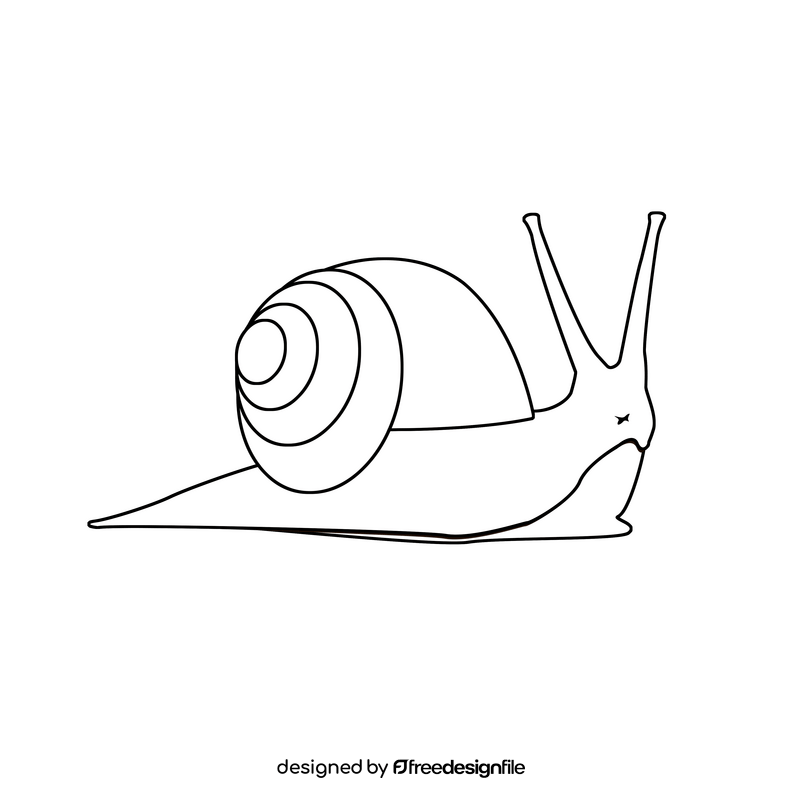 Snail black and white clipart