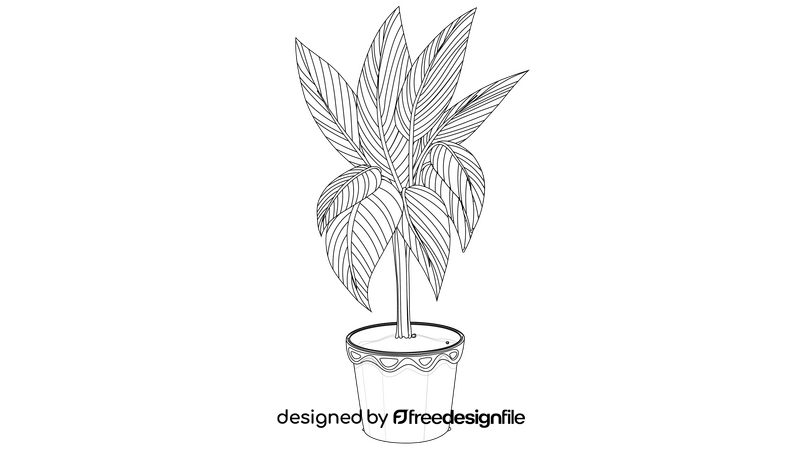 Chinese Evergreen, Aglaonema black and white clipart