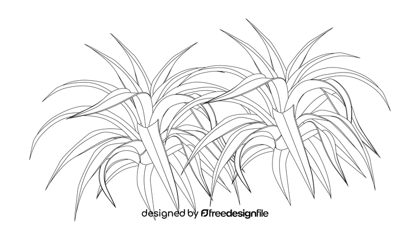 Spider Plant black and white clipart