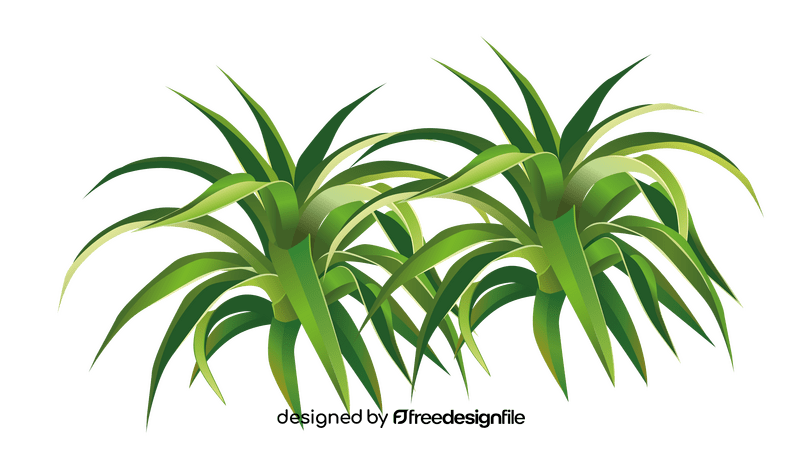 Spider Plant clipart
