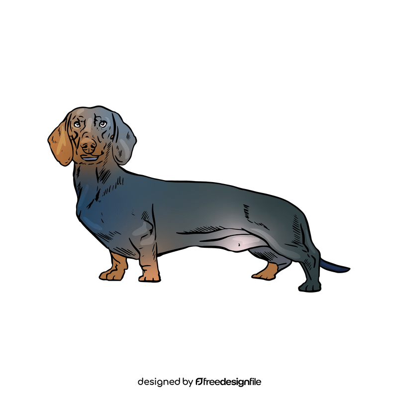 Dachshund clipart