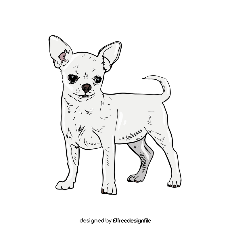 Chihuahua clipart