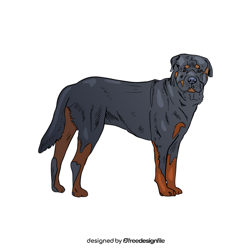 Rottweiler clipart