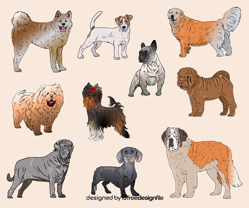 Dog Breeds vector