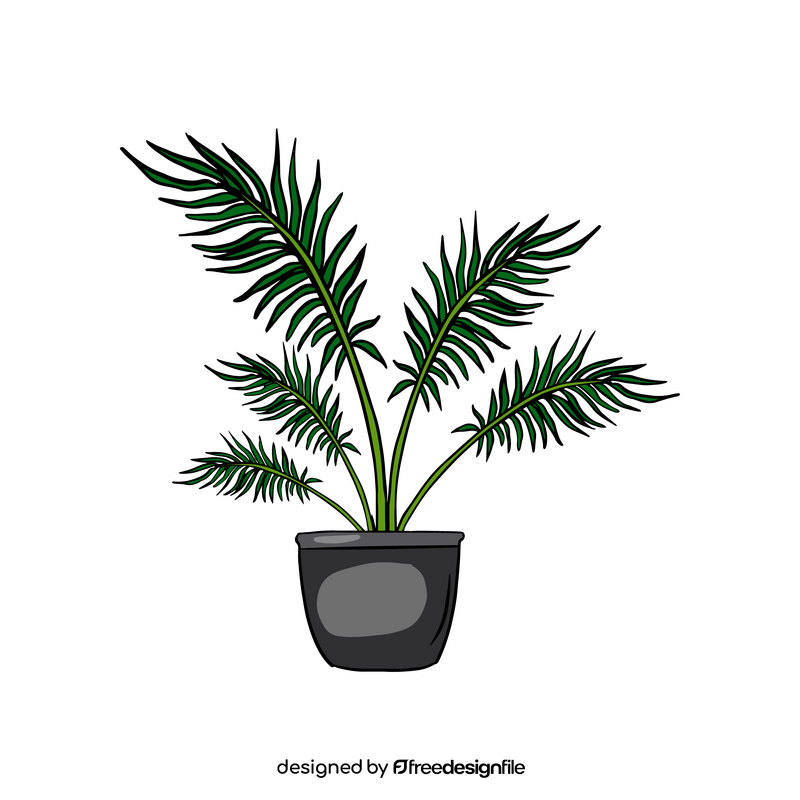 Majesty Palm clipart