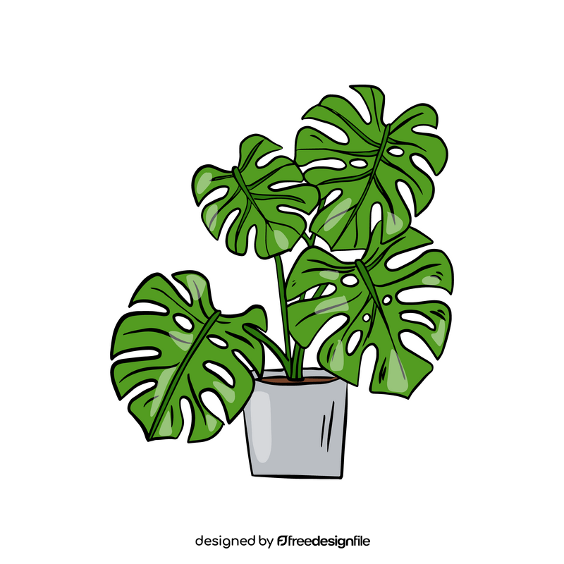 Monstera Deliciosa clipart