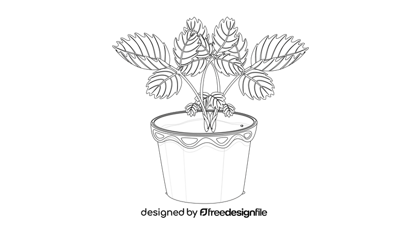 House Plant black and white clipart