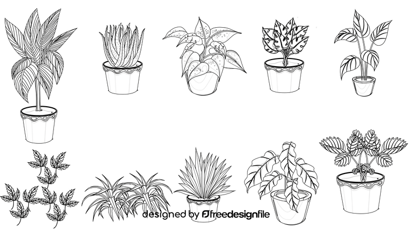 Plant black and white vector