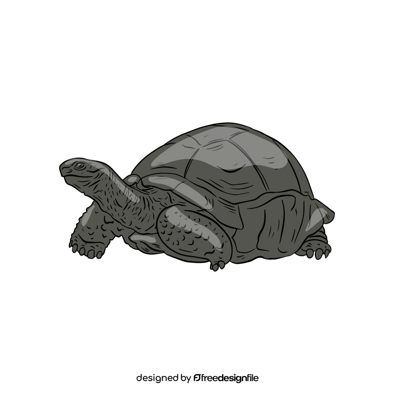 Turtle Clipart Free Download