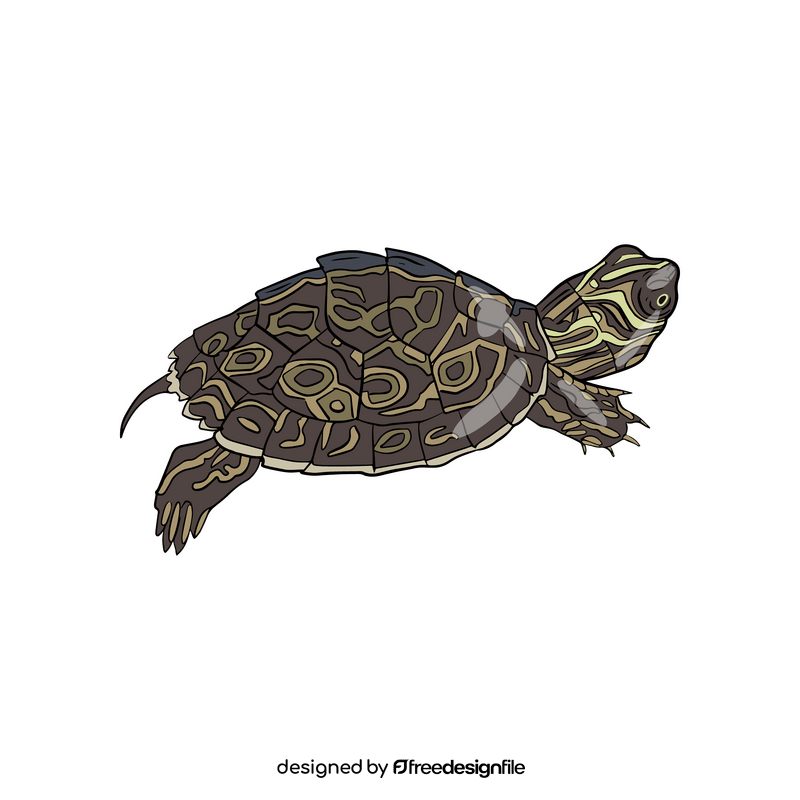 Western Painted Turtle clipart