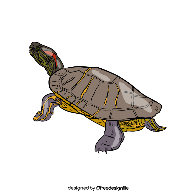 Wood Turtle clipart