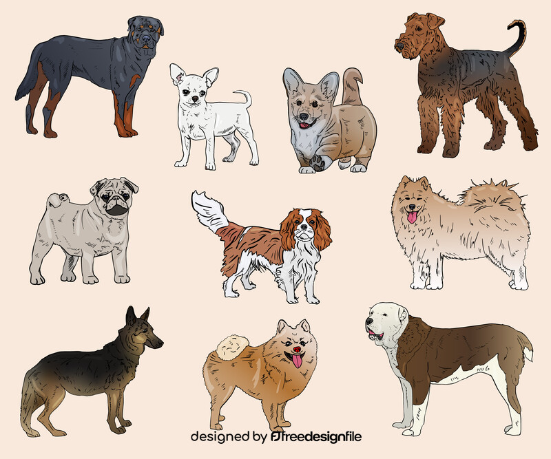 Dog Breeds vector