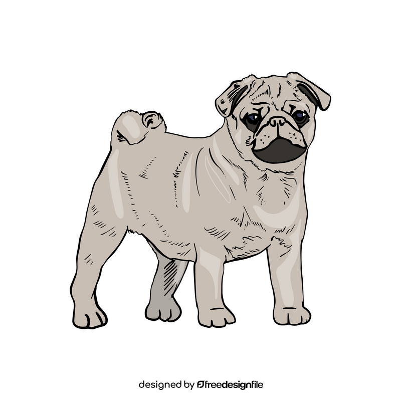 Pug Dog clipart