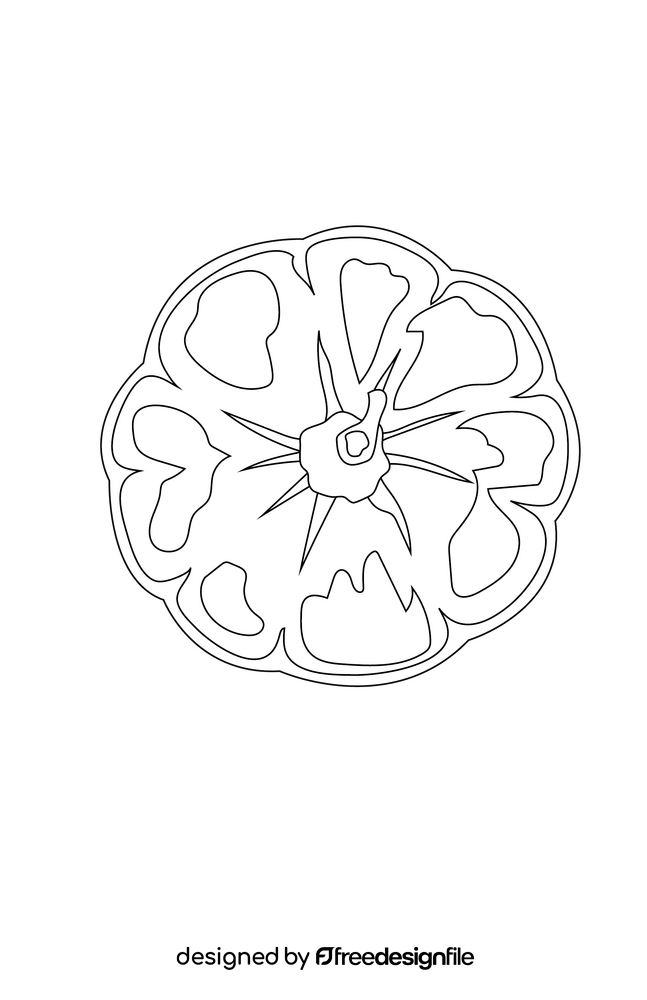 Top View of Pumpkin black and white clipart