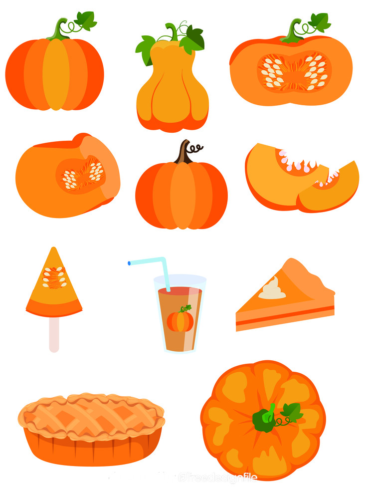 Pumpkin vector