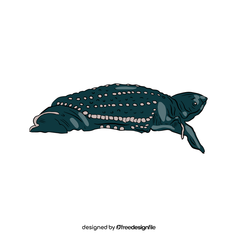 Turtle clipart