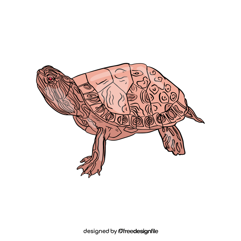 Turtle clipart