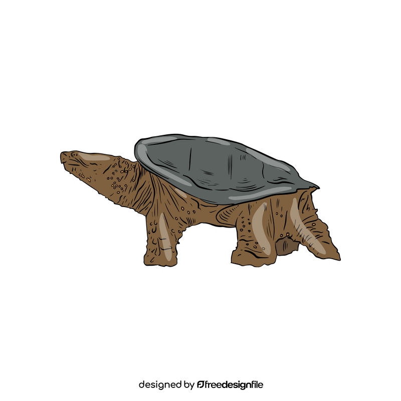 Turtle clipart