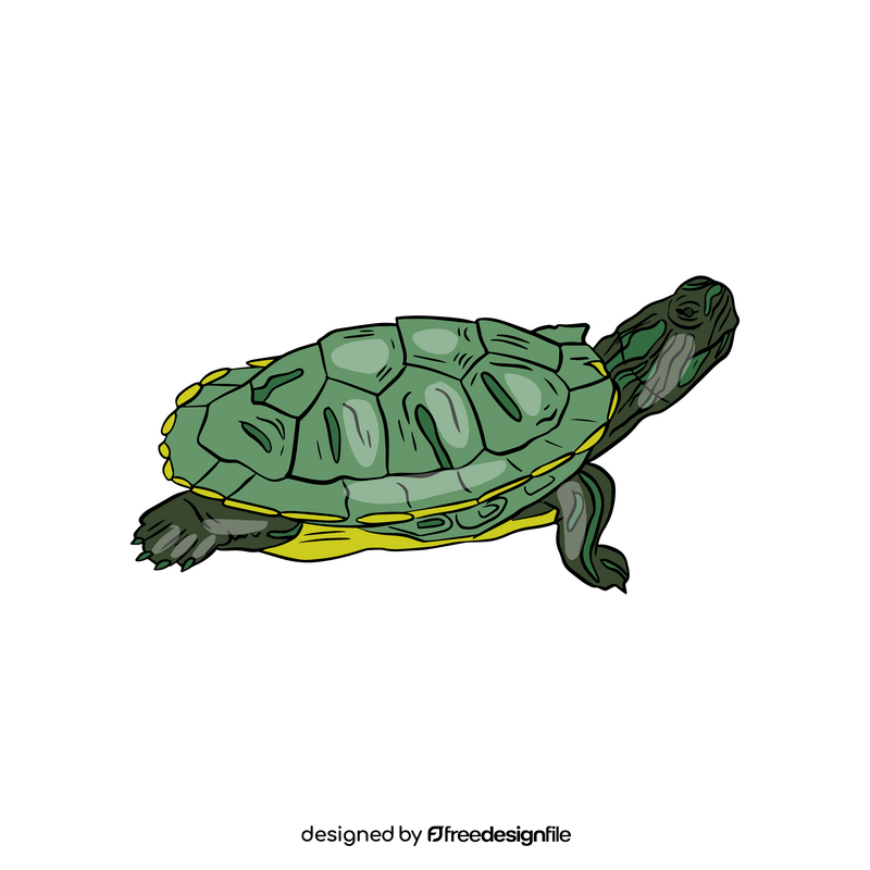 Turtle clipart