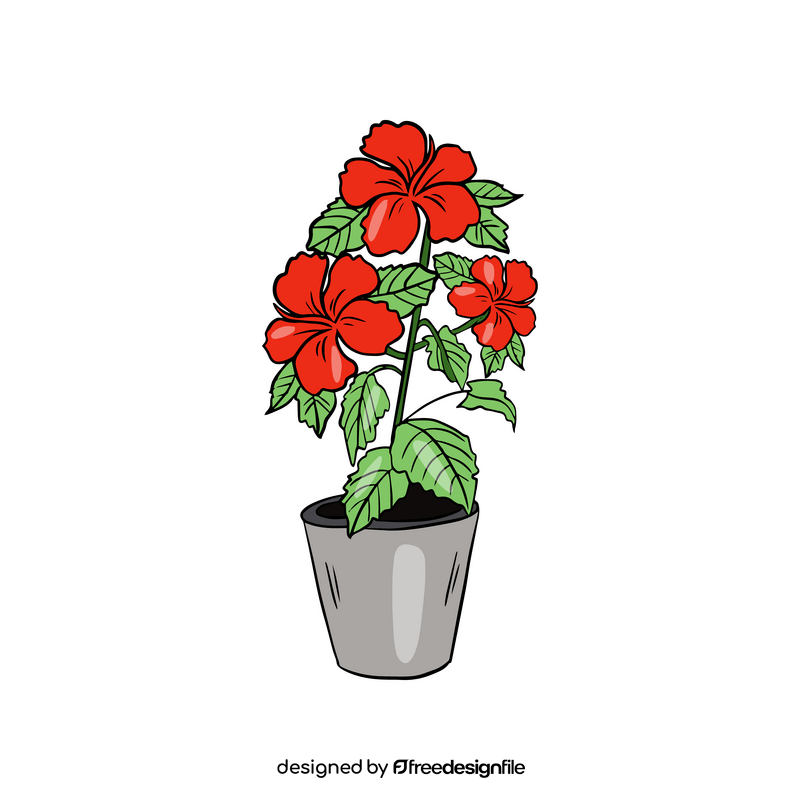 Gerbera Daisy in Pot clipart