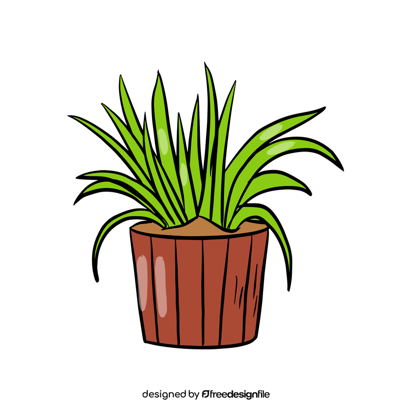 Spider Plant clipart