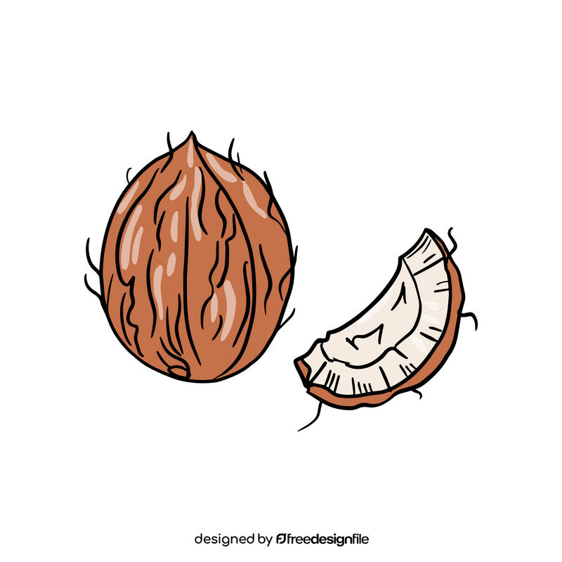 Coconut clipart