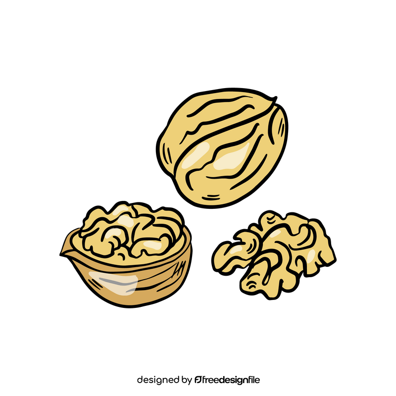 Walnut clipart