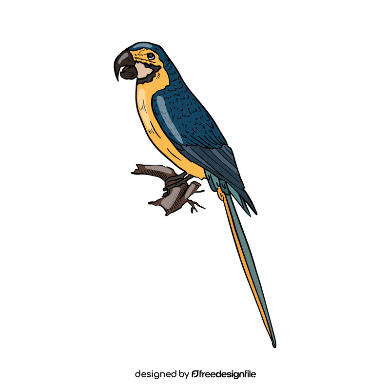 Parrot clipart