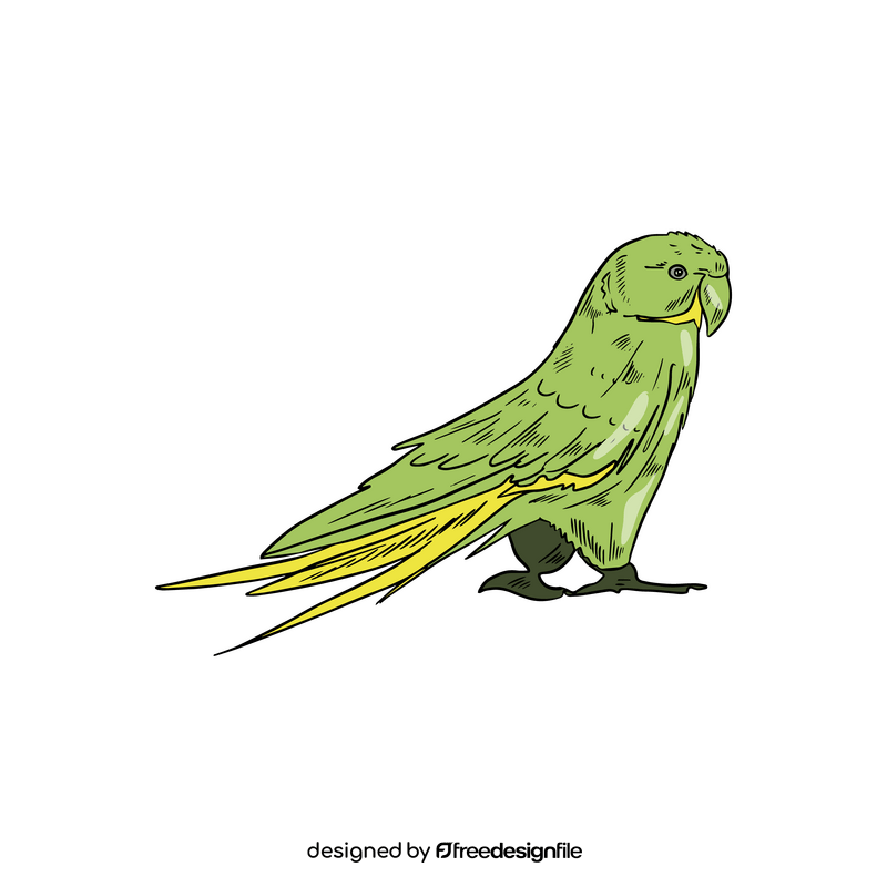 Green parrot clipart