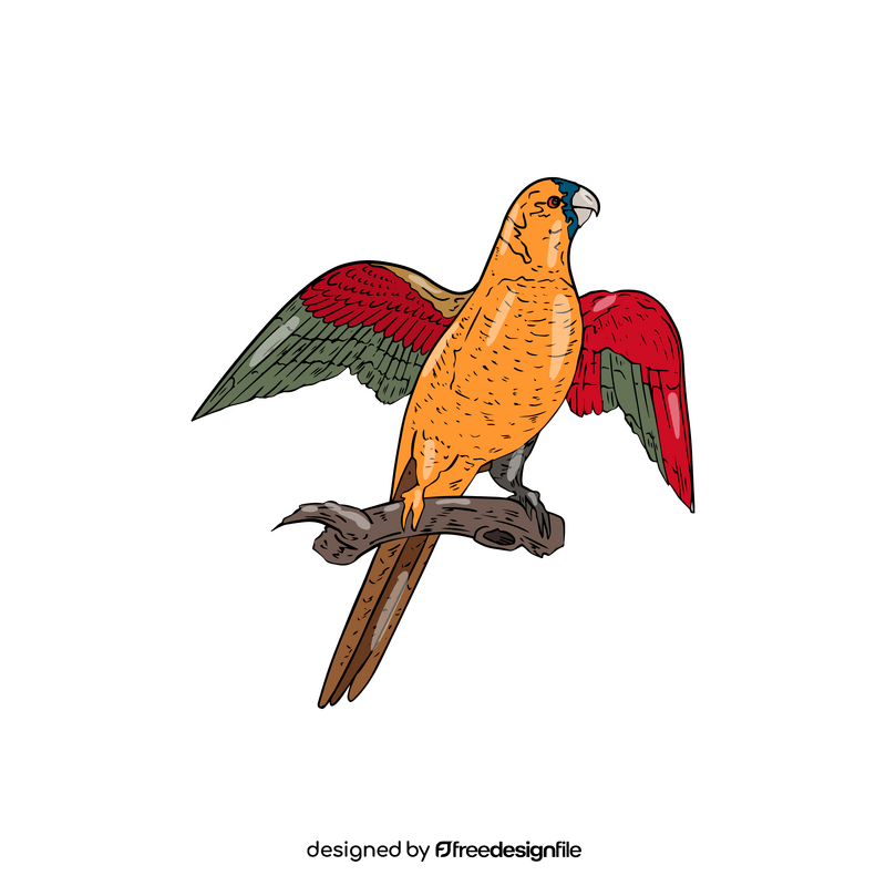 Parrot clipart