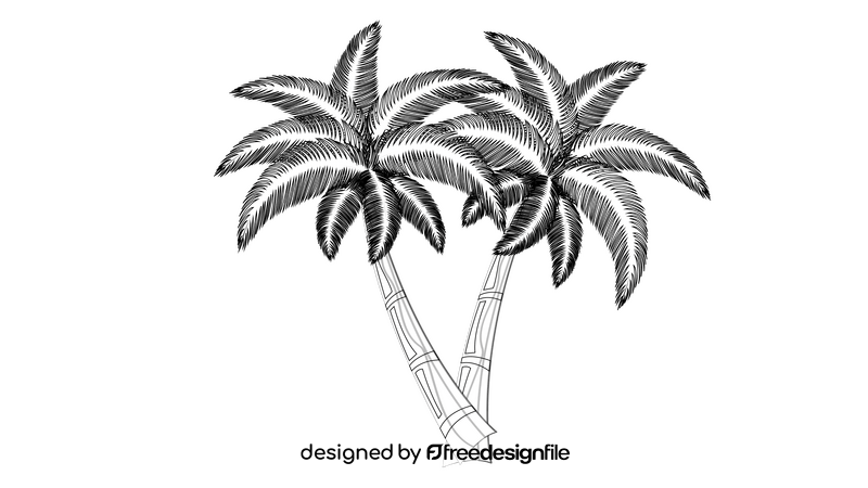 Palm Tree black and white clipart