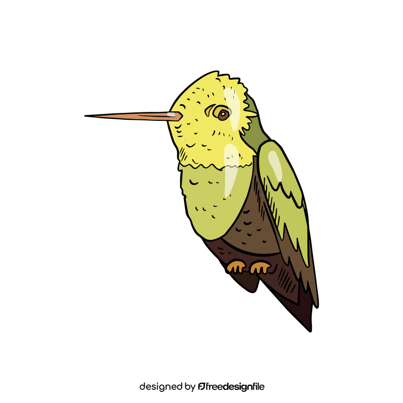 Hummingbird clipart