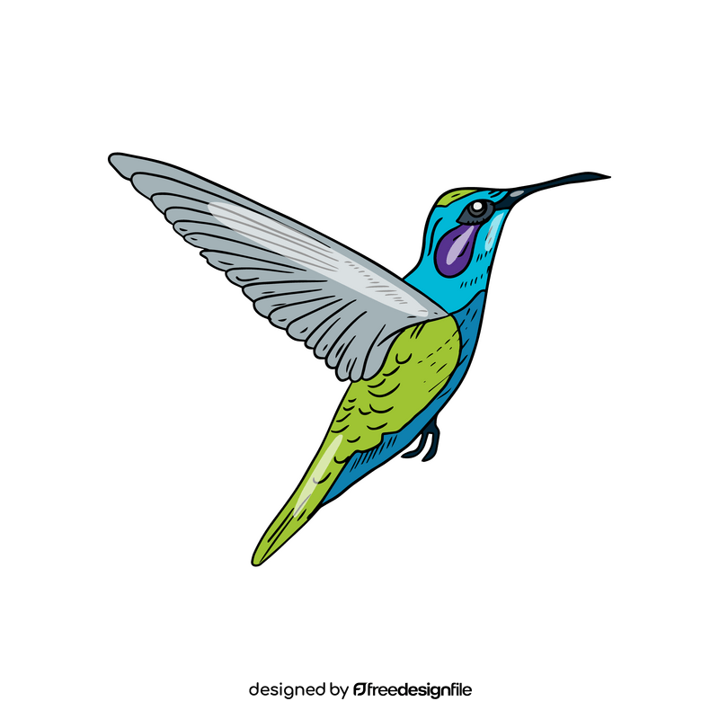 Hummingbird clipart