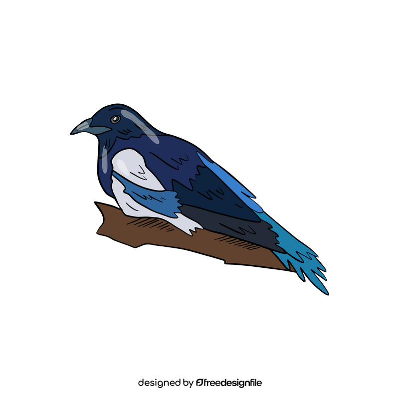 Magpie bird clipart