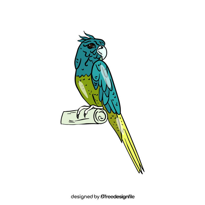 Parrot clipart