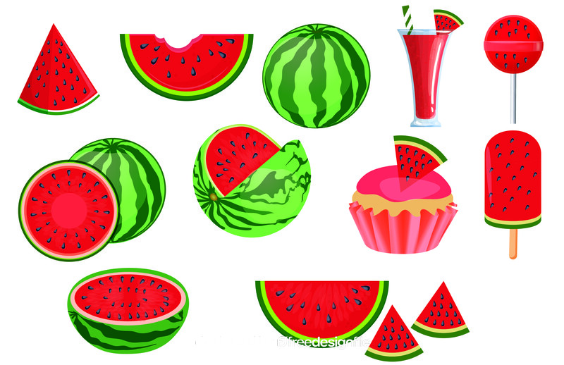 Watermelon vector