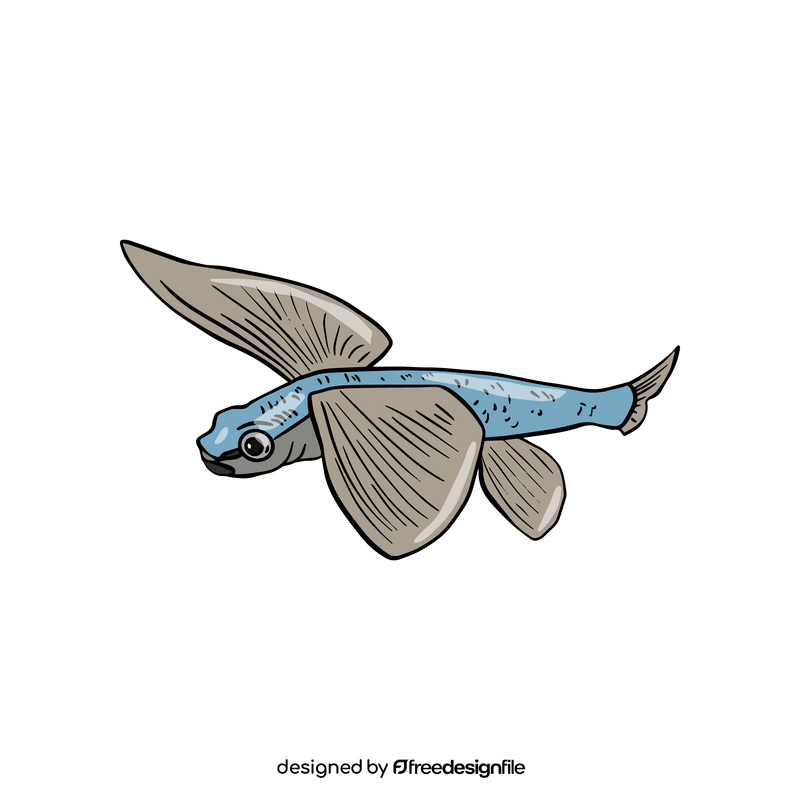 Flying fish clipart