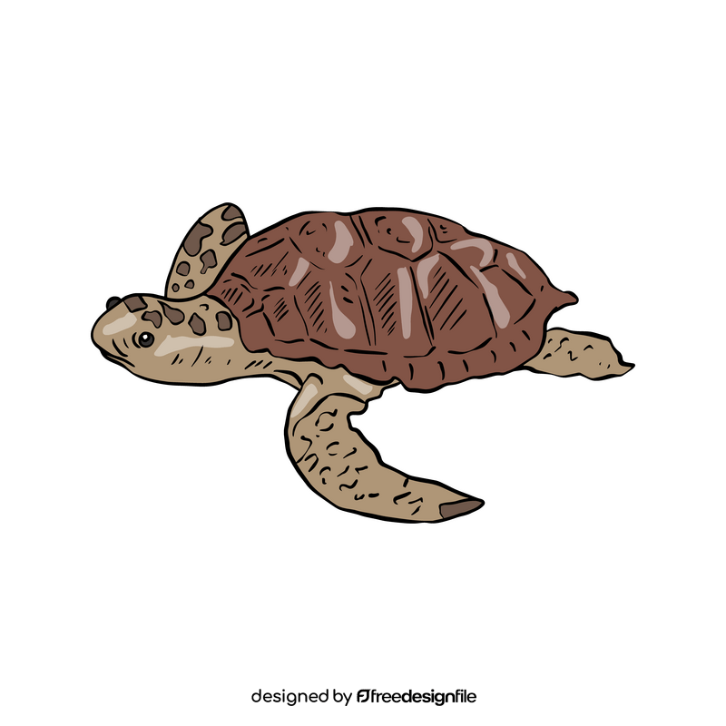 Sea turtle clipart