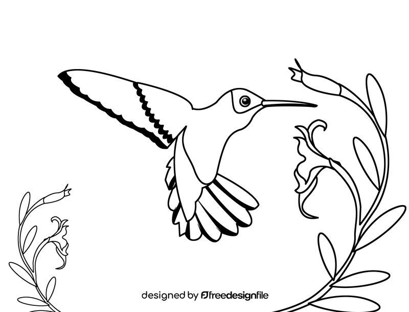 Hummingbird black and white clipart