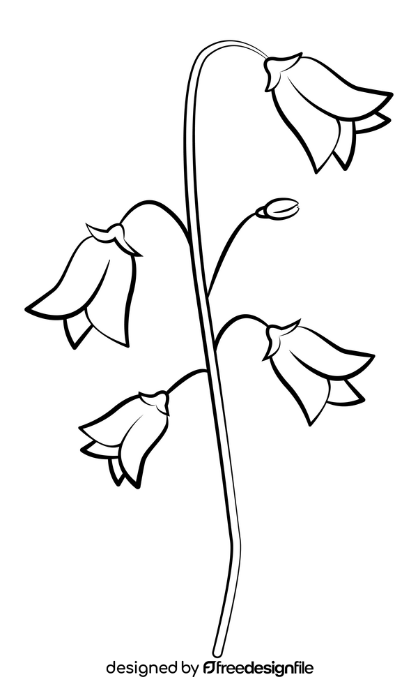 Bluebell black and white clipart