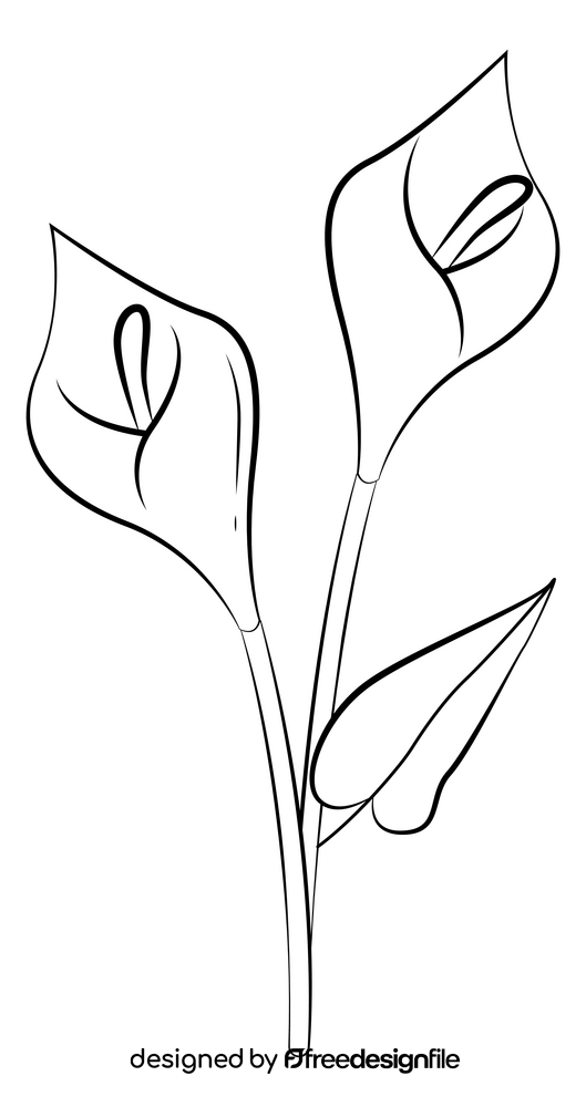 Calla lily black and white clipart free download