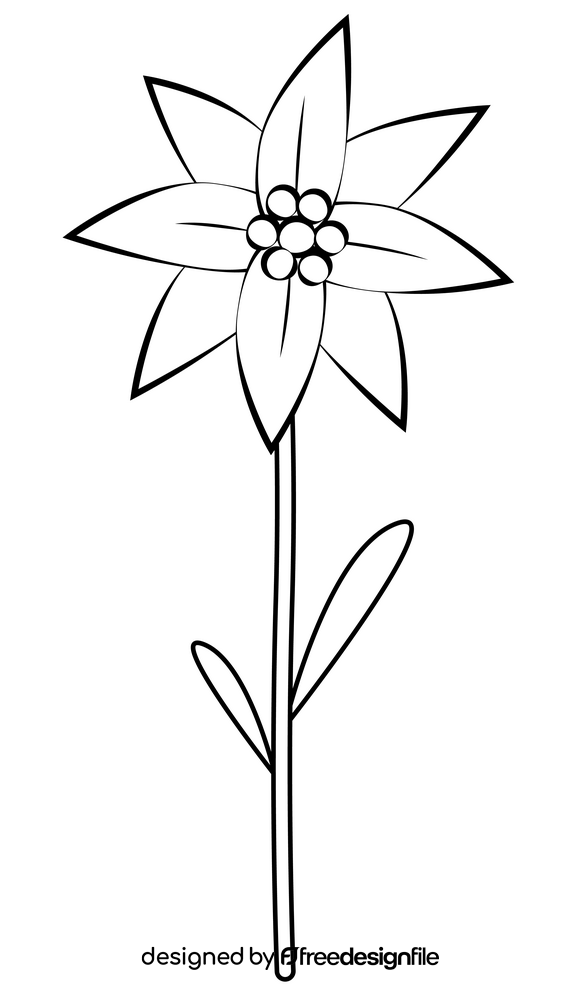 Edelweiss black and white clipart