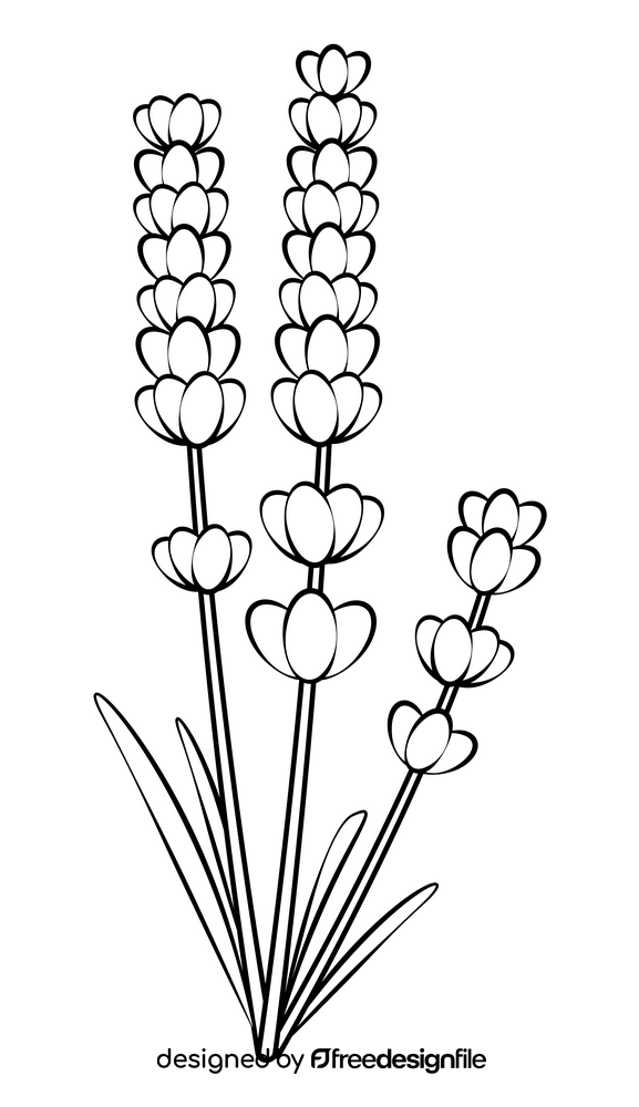 Lavender black and white clipart