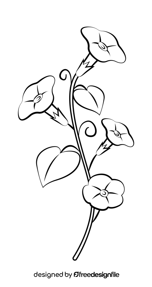 Morning glory black and white clipart