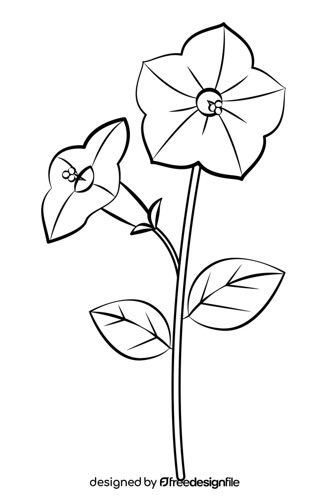 Petunia black and white clipart