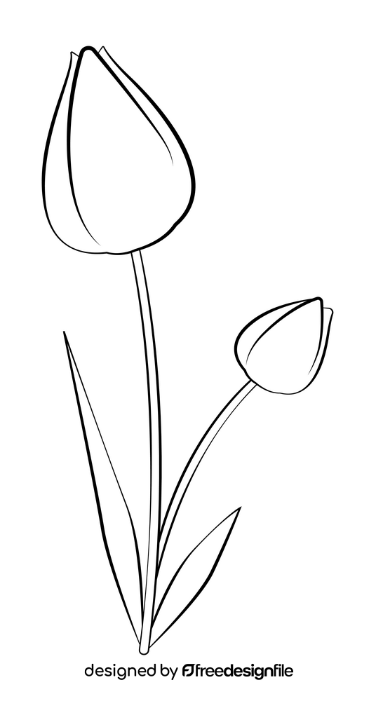 Tulip black and white clipart vector free download