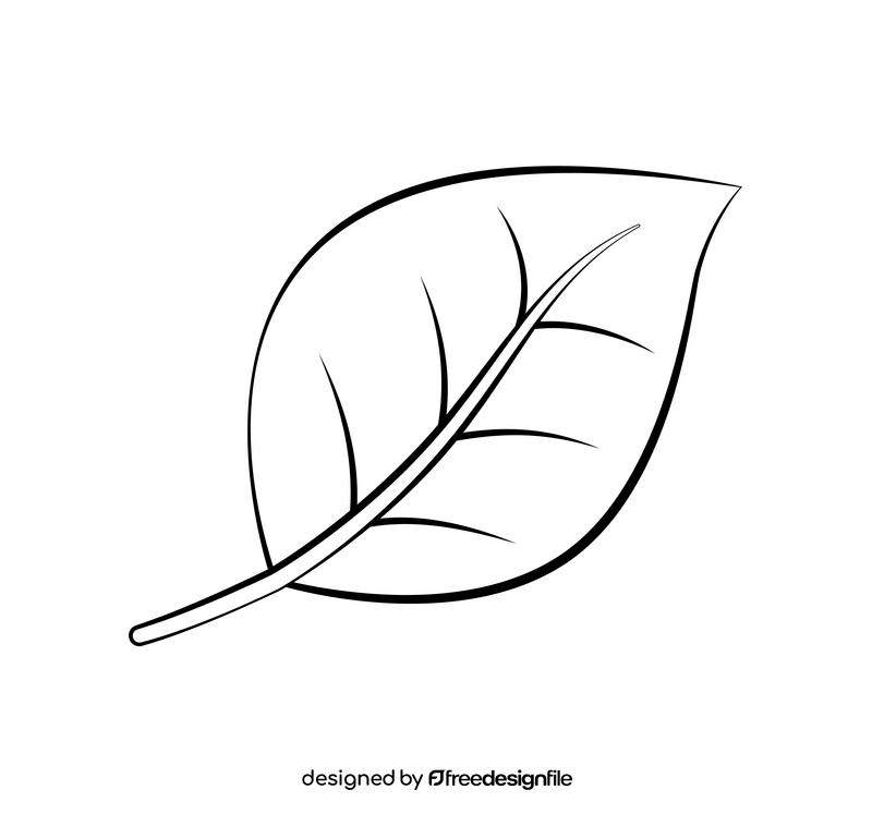 Leaf black and white clipart