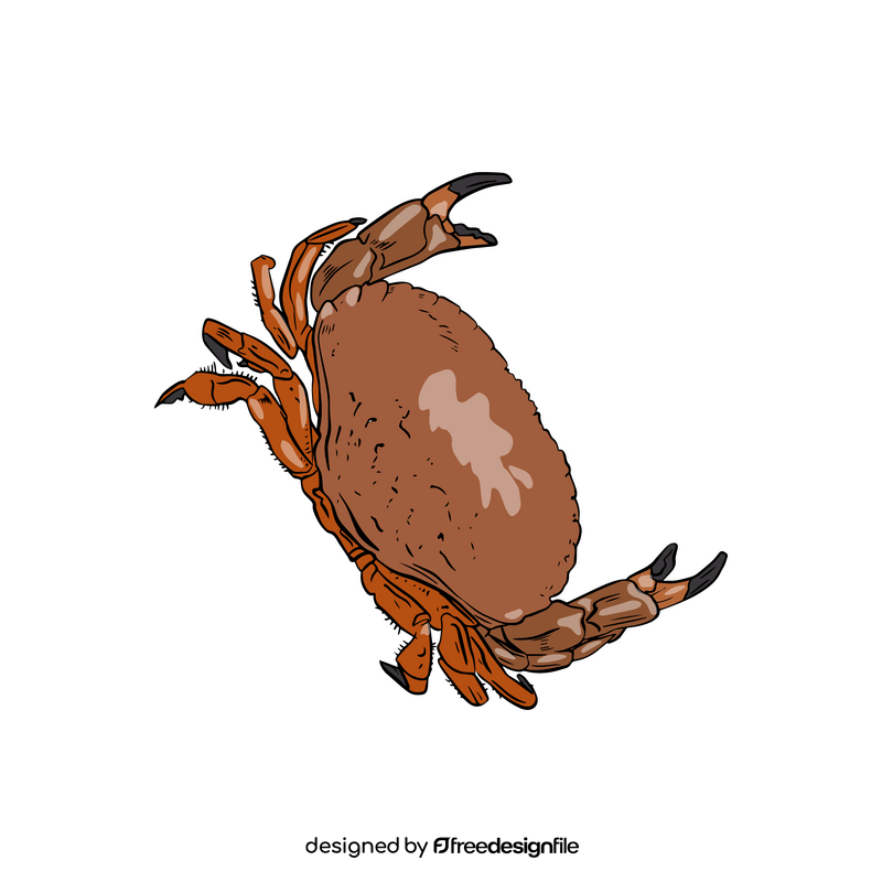 Crab cartoon clipart